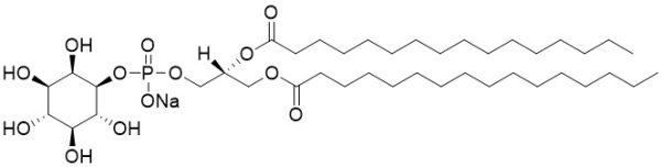 Phosphatidylinositol diC16 (PI diC16) - Echelon Biosciences