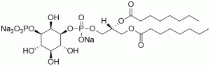 PI(3)P diC8 (Phosphatidylinositol 3-phosphate diC8) - Echelon Biosciences