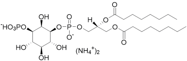 Phosphatidylinositol 3-phosphate diC8 (PI(3)P diC8) (ammonium salt) - Echelon Biosciences