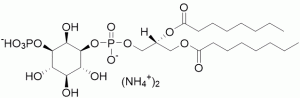Phosphatidylinositol 3-phosphate diC8 (PI(3)P diC8) (ammonium salt) - Echelon Biosciences