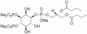 PI(3,4)P2 diC4 (Phosphatidylinositol 3,4-bisphosphate diC4)  - Echelon Biosciences