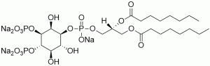 PI(3,4)P2 diC8 (Phosphatidylinositol 3,4-bisphosphate diC8) - Echelon Biosciences