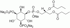 PI(3,5)P2 diC4 (Phosphatidylinositol 3,5-bisphosphate diC4) - Echelon Biosciences