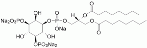 PI(3,5)P2 diC8 (Phosphatidylinositol 3,5-bisphosphate diC8) - Echelon Biosciences
