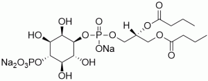 Phosphatidyinositol 4-phosphate diC4 (PI(4)P diC4) - Echelon Biosciences
