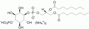 Phosphatidylinositol 4-phosphate diC8 (PI(4)P diC8) (ammonium salt) - Echelon Biosciences