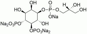 Glycerophosphoinositol 4,5-diphosphate (GroPI(4,5)P2) - Echelon Biosciences