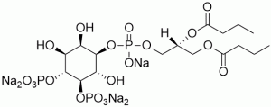 Phosphatidylinositol 4,5-bisphosphate diC4 (PI(4,5)P2 diC4) - Echelon Biosciences