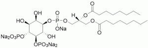 Phosphatidylinositol 4,5-bisphosphate diC8 (PI(4,5)P2 diC8) - Echelon Biosciences