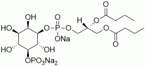 Phosphatidylinositol 5-phosphate diC4 (PI(5)P diC4) - Echelon Biosciences