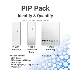 PIP Pack - bundle of PIP Strips and Membrane Strips from Echelon Biosciences