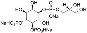 Glycerophosphoinositol 4,5-diphosphate (GroPI(4,5)P2) - Echelon Biosciences