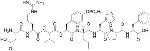 Tyr(PO3H2)4 Angiotensin II, human - Echelon Biosciences