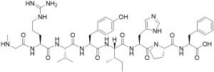 Angiotensin II-[Sar1], CAS 51833-69-3 - Echelon Biosciences