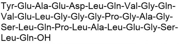 C-Peptide [Tyr0] / Proinsulin (32-63) Tyr0 - Echelon Biosciences