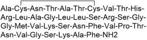 Calcitonin Gene Related Peptide II (CGRP II, human), cyclic - Echelon Biosciences