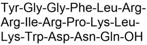Dynorphin A, porcine [Prodynorphin (209-225)] - Echelon Biosciences