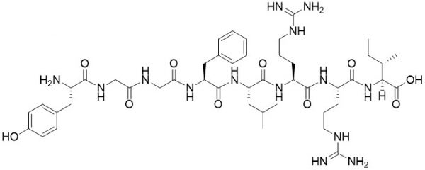 Dynorphin A (1-8), porcine - Echelon Biosciences