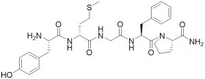 Enkephalinamide [D-Met2, Pro5] - Echelon Biosciences