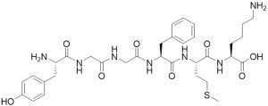 Met Enkephalin [Lys 6] - Echelon Biosciences
