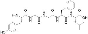 Leu-Enkephalin - Echelon Biosciences