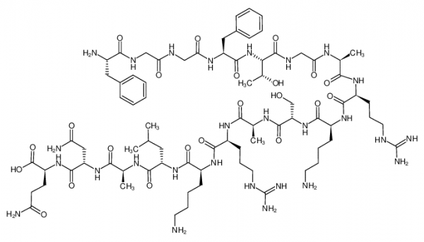 Nociceptin/orphanin FQ (CAS 170713-75-4) - Echelon Biosciences