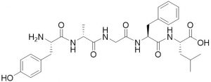 Leu-Enkephalin [D-Ala2] - Echelon Biosciences