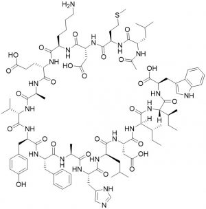 Endothelin Receptor Antagonist BQ 3020 / Acetyl-(Ala11,15)-ET - Echelon Biosciences