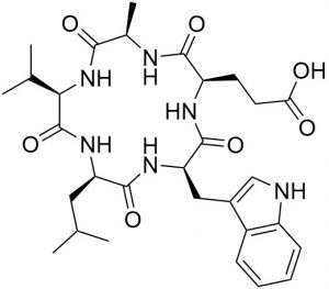 Endothelin Receptor Antagonist W-7338A