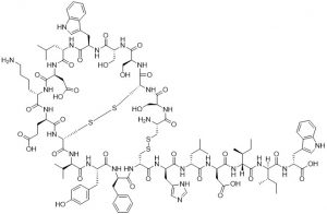 Endothelin 2, human / ET 2