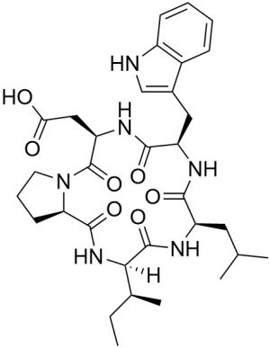 ETA Receptor Antagonist JKC 301 - Echelon Biosciences