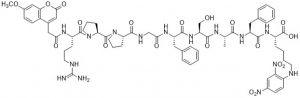 ECE-1 Substrate - Echelon Biosciences