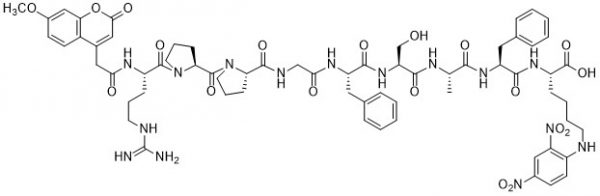 ECE-1 Substrate - Echelon Biosciences