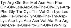 Adrenomedullin (1-52), human - Echelon Biosciences