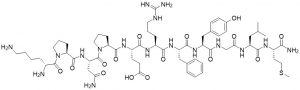 Ranakinin, frog - Echelon Biosciences