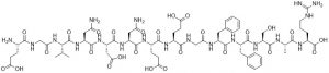 Fibrinopeptide B [Glu1], (human) - Echelon Biosciences