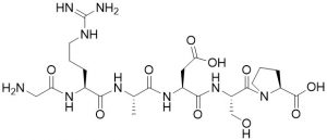 Gly-Arg-Ala-Asp-Ser-Pro (GRADSP)