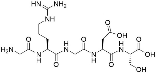 Gly-Arg-Gly-Asp-Ser (GRGDS) - Echelon Biosciences