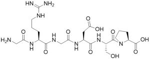Gly-Arg-Gly-Asp-Ser-Pro (GRGDSP) - Echelon Biosciences