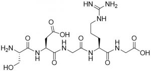 Ser-Asp-Gly-Arg-Gly-OH - Echelon Biosciences
