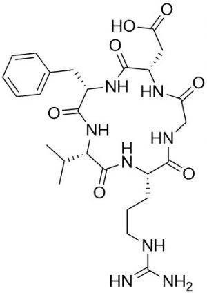 Cell Adhesion Inhibitor Peptide, cyclic - Echelon Biosciences