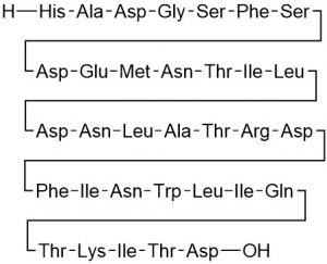 Glucagon-like Peptide-2, GLP-2 (1-33), rat - Echelon Biosciences