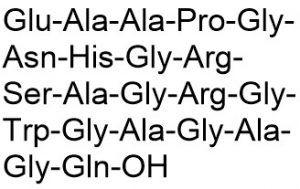 KISS-1 (125-144) - Echelon Biosciences