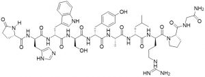 LH-RH [D-Ala6] - Echelon Biosciences