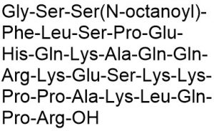Ghrelin rat - Echelon Biosciences