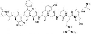 LH-RH [Hyp9] - Echelon Biosciences
