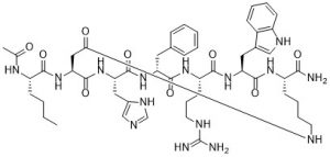 Melanotan II, cyclic α-MSH - Echelon Biosciences