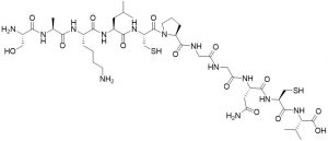 Sperm Activating Peptide, Sea Urchin - Echelon Biosciences