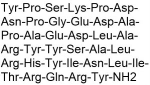 Neuropeptide Y, porcine - Echelon Biosciences