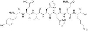 Beta Amyloid [Glu11] (10-16), human - Echelon Biosciences